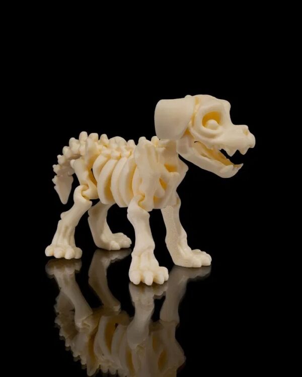 CACHORRO ESQUELETO - Imagem 4