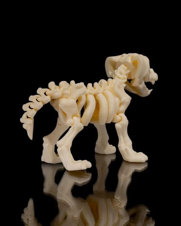 CACHORRO ESQUELETO - Imagem 5