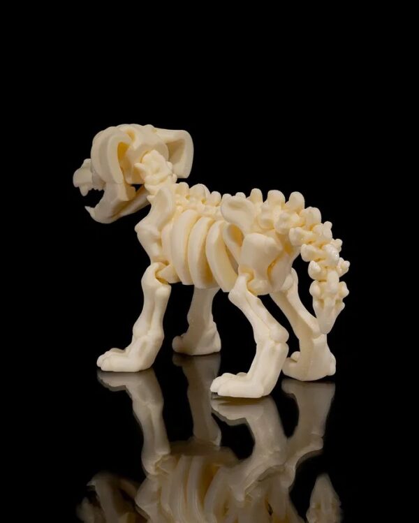 CACHORRO ESQUELETO - Imagem 6