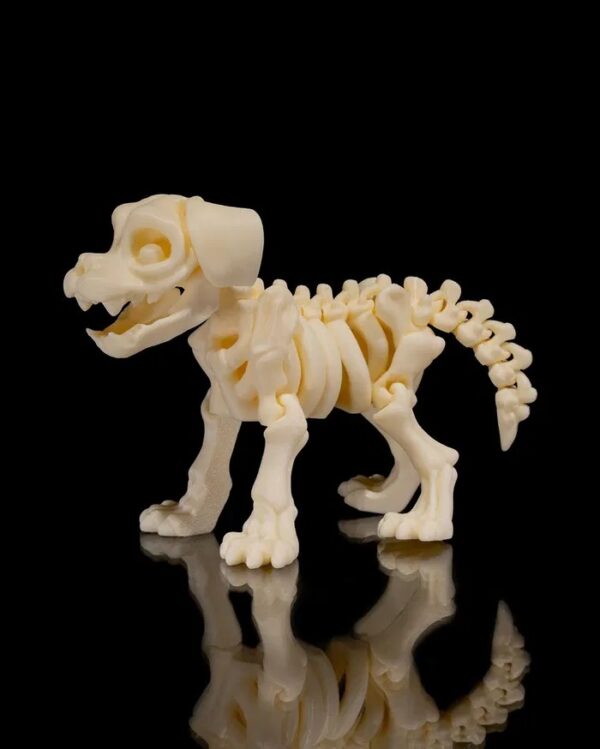 CACHORRO ESQUELETO - Imagem 7