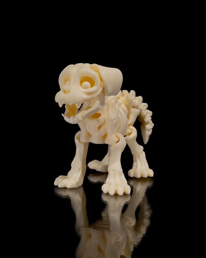 CACHORRO ESQUELETO