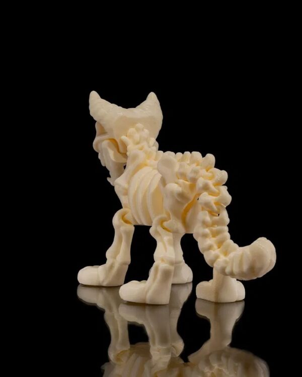 GATO ESQUELETO - Imagem 7