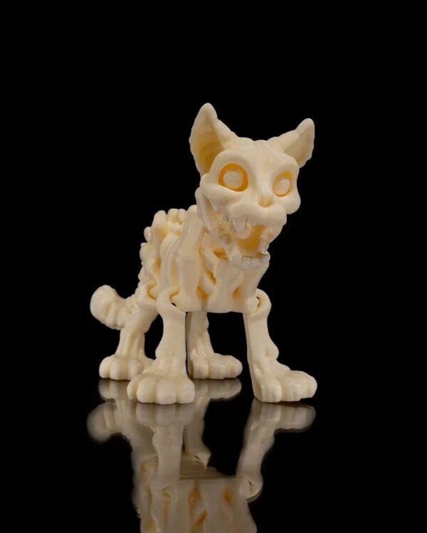 GATO ESQUELETO - Imagem 3