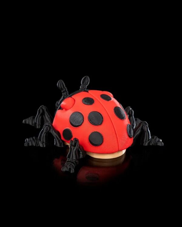 JOANINHA LILLY - Imagem 4